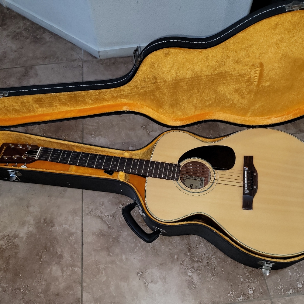 Acoustic guitar and case